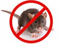 Effective Pest Control Services coupons