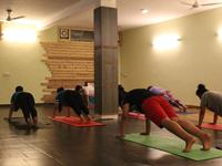 Studio Yogashayan coupons