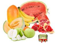 The Organic Garden coupons