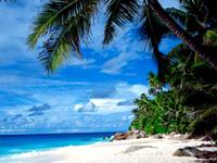 VBs Tours & Travels offers