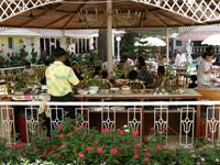 Avion Holiday Resort 0 sales India