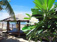 Mount View Resort & Dhanraj Groups coupons