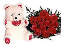 Ferns N Petals offers