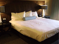 Hotel City Palace offers