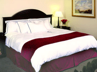 Hotel City Palace offers