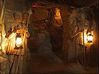 The President Hotel offers