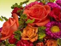 PollenBlossom.com offers