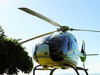 BSK International offers