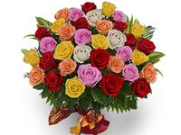 Deliver Emotions offers