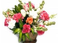 Red Gift Shop offers