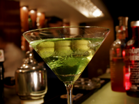 Indus - Hotel Diplomat 0 sales India