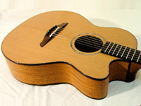 Kiran Roy's Guitar Hall 0 sales India