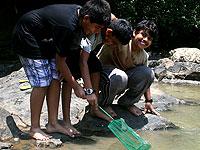 Frolic Boonies 0 sales India