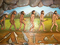 Divya Institute of Arts 0 sales India