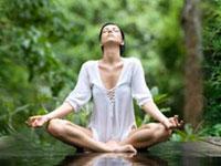 Wellness Ocean 0 sales India