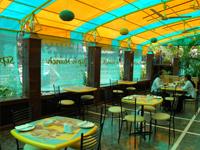 The Emerald 0 sales India