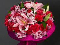 Flora2000 0 sales India