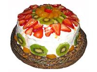 Floral Mall 0 sales India