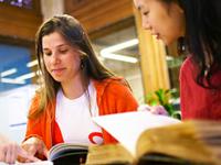 Brainy English Institute 0 sales India