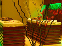 S2 SPA By EMA coupons