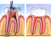 Tooth Place Dental Care Center coupons