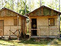 Frolic Boonies coupons