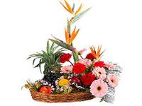 RightFlorist coupons