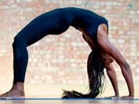 Wellness Ocean coupons