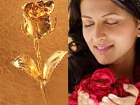 Exciting Lives coupons