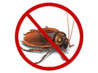 G9 Pest Control Services coupons