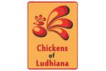Chickens of Ludhiana