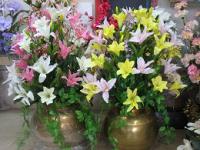 Riddhi's Aesthetics offers