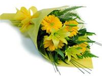 D Fleur offers
