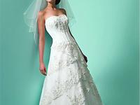 Singnorina Fashion offers