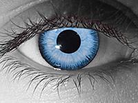 Laxmi Opticals offers