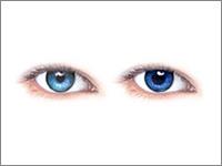 G K B Opticals offers