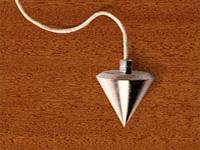 Shree Kaycee Corporation offers