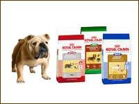 Exotic Kennels offers