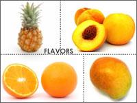 Vega Agritech and Impex Pvt Ltd offers