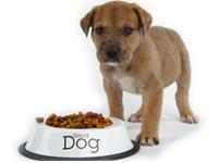 Shree Kennels offers