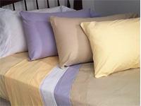 Paras Rexine House offers