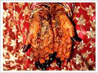 Omkar Studio offers