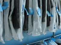 White Tiger offers
