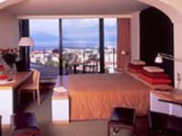 Hotel Taj Princess offers