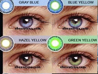 Xpert Opticals offers
