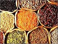 SSMP Agro Products Ltd offers