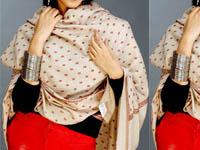 Shah I Hamdan offers