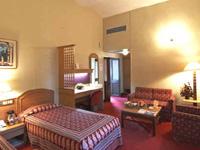C Park Inn offers