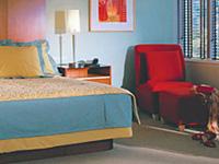Hotel Rama Deluxe offers