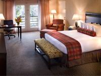 Hotel Vishal offers